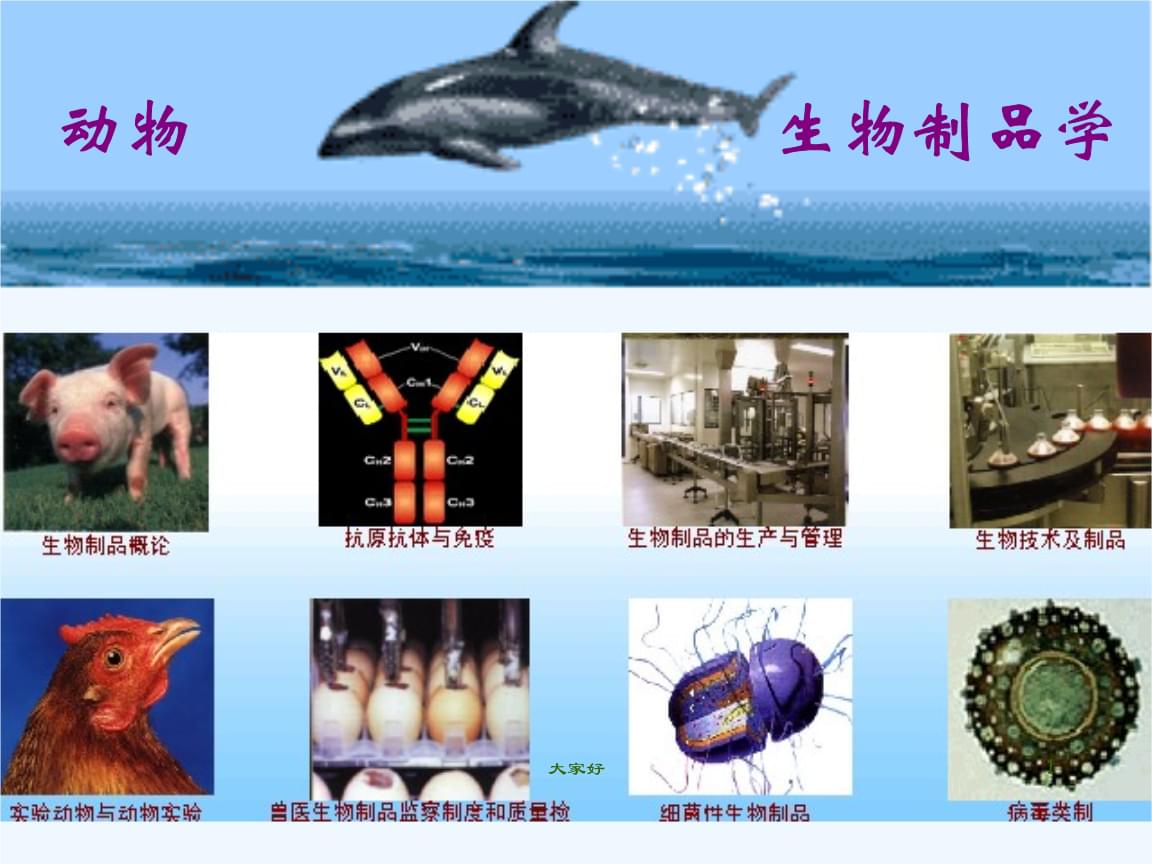 生物制品概论.ppt